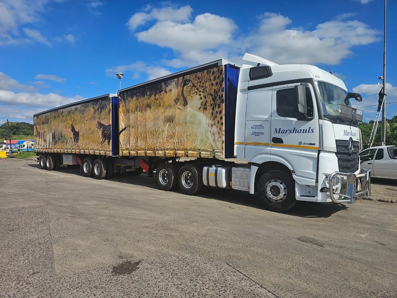 Marshauls fleet truck with wildlife livery under a Southern African sky