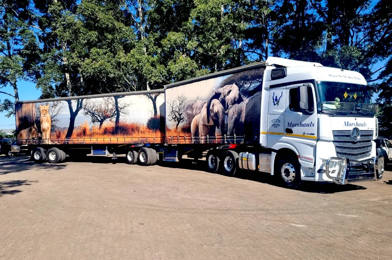 Actros with elephant herd livery