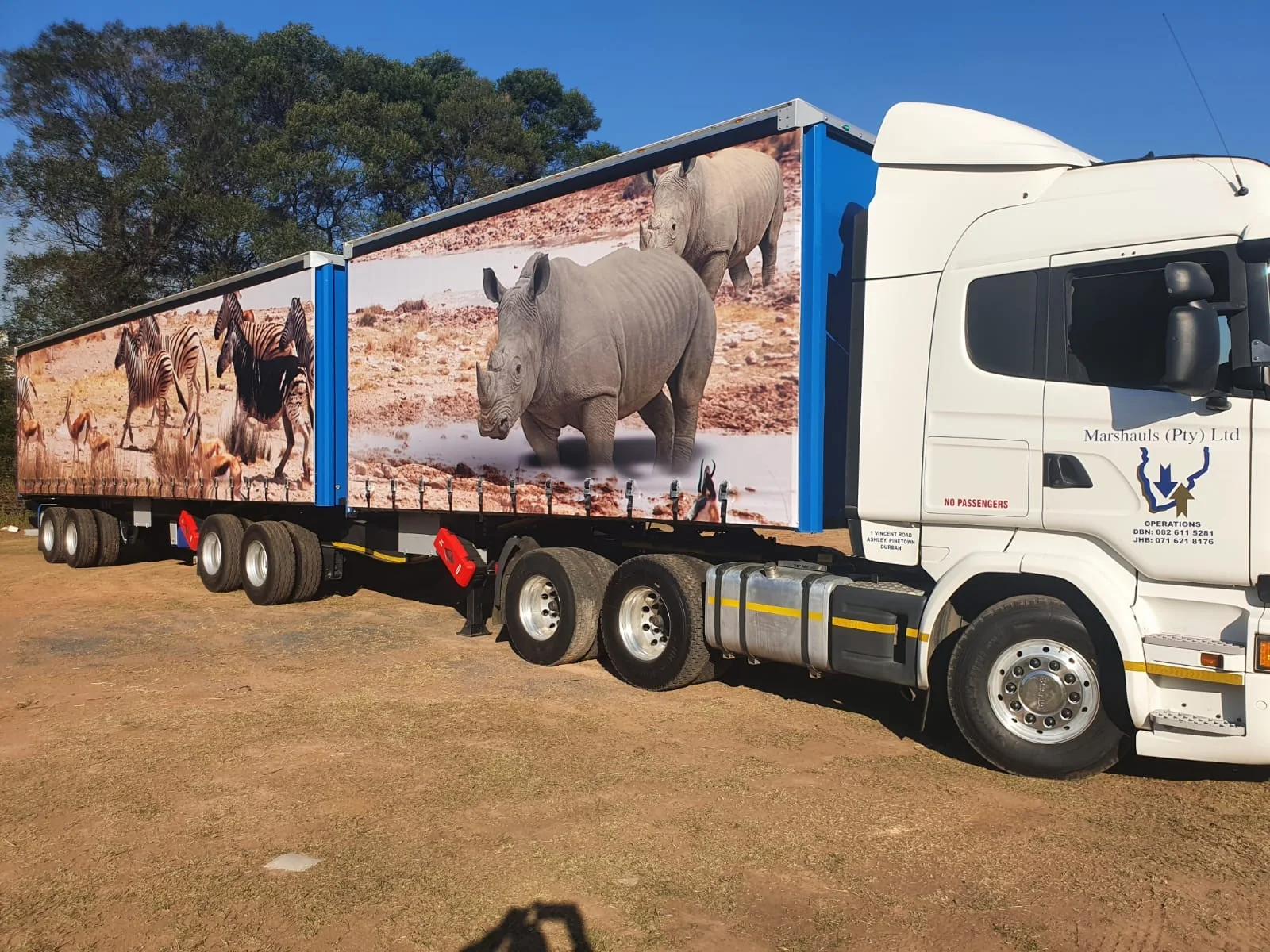 Scania with rhino and zebra livery